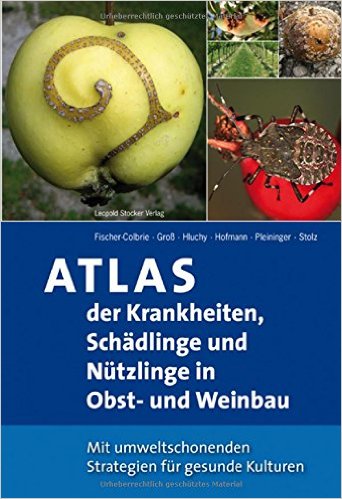Atlas der Krankheiten Stocker Verlag